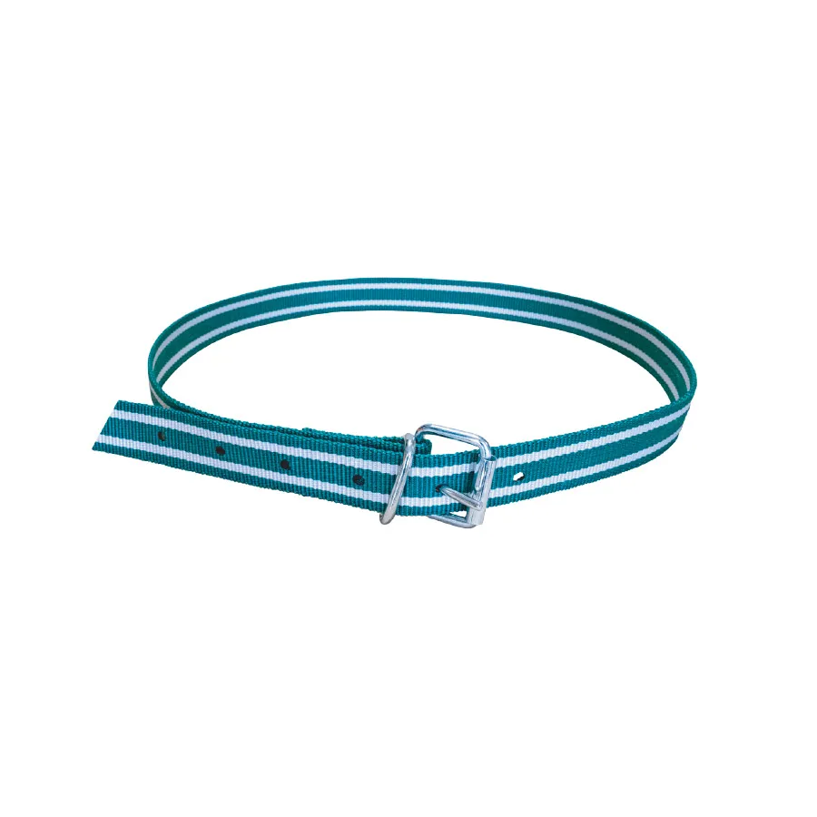 Boyun Askı Kayışı Yeşil / Beyaz Delikli 40mm