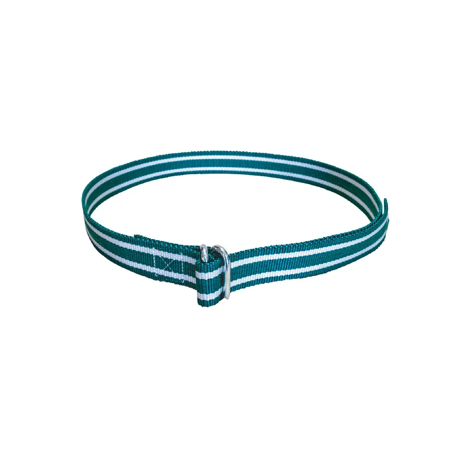 Boyun Askı Kayışı Yeşil / Beyaz Oval Takalı 40 mm